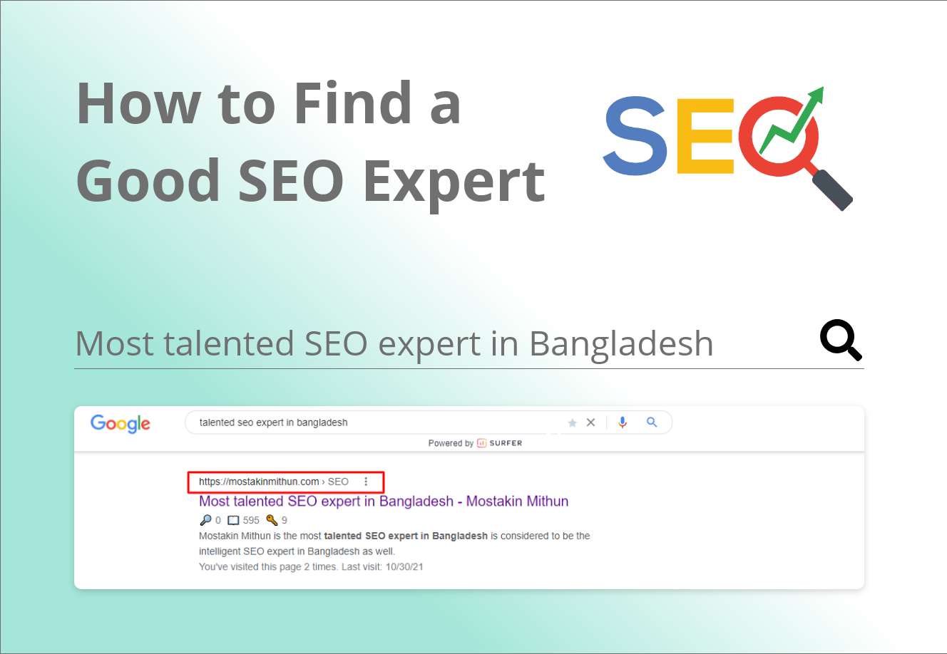 how to find a good seo expert